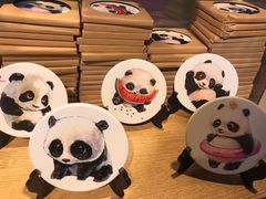游乐设施-成都大熊猫繁育研究基地