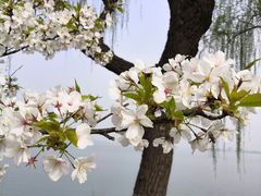 -石湖景区