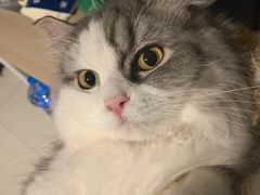 -中农大我爱我爱动物医院·核磁CT·猫病·24小时夜诊中心(石佛营店)