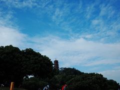 -红花山公园