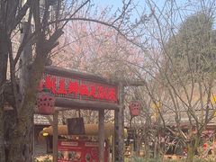 -土灶人家柴火鸡(都江堰店)