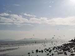 -深圳湾公园(南山区)