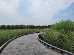-苏州湾体育公园