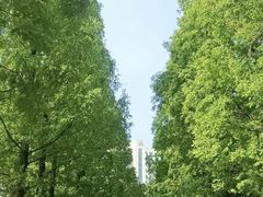 -莱西月湖公园