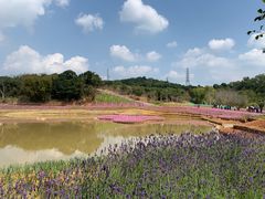 -梧桐山风景名胜区