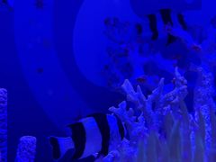 -野生动物园-停车场