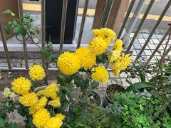 -四方面荘(常丰花园店)