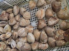 -富临港蒸汽海鲜(栈桥店)