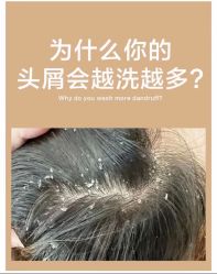 -Bollins波林丝•专研护发中心