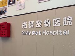 -格蕾宠物医院24H·猫科·肿瘤科·骨科中心(福州总院)