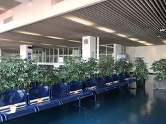 -澳门外港客运码头(轮渡站)