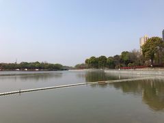 -南翔镇银翔湖公园