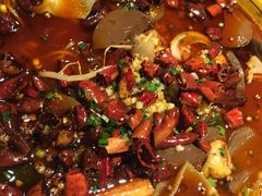 -金杏·粘卷子 烤鸭 农家菜