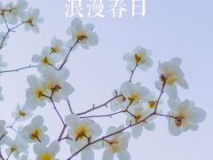 -睦南公园