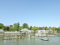 -曹州牡丹园