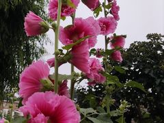 -兴城海滨风景区