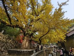 -晋祠公园