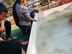 -秀丽东方