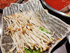 -晓宇重庆火锅(赛格国际购物中心店)