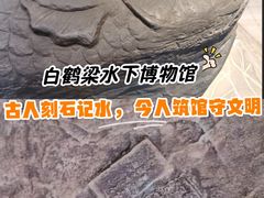-白鹤梁水下博物馆