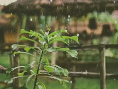 -成都濑川外国语学校