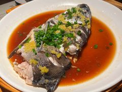 -绿茶餐厅(千岛湖银泰城店)