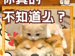 -北京佳信宠物医院