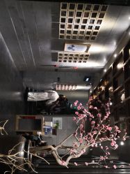 -盘子女人坊古装写真摄影(深圳店)