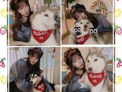 -Husky Go! 哈士奇体验馆·宠物咖啡厅狗咖