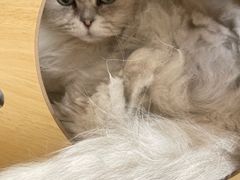 -小时光咖啡馆(北锣鼓巷店)