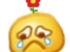 -Koi thé(水坑尾街店)