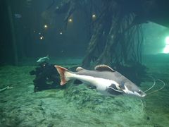 -华夏文旅海洋公园