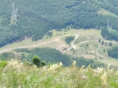 -白草畔自然风景区