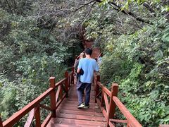 -大岭沟猕猴桃谷风景区