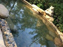 -天目湖涵田半山温泉