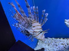 -太平洋海底世界