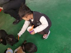 -黄龙溪欢乐田园