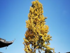 -宝岩生态观光园