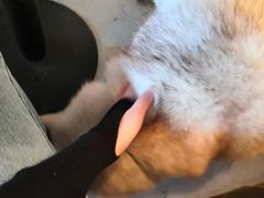-小时光咖啡馆(北锣鼓巷店)