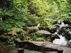 -大围山国家森林公园