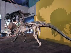 -湖南省地质博物馆