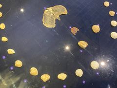 -青岛贝壳博物馆