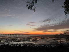 -宝安西湾红树林湿地公园