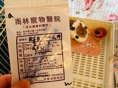 -雨林宠物医院 非犬猫异宠专科