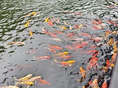 -太子园林酒家