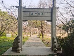 -苏州上方山国家森林公园