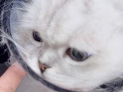 -瑞派康怡24h宠物医院·犬猫医疗中心·微创绝育(瑞景分院)