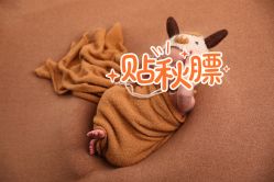 -西瓜庄园儿童摄影