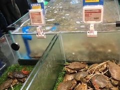 -盒马鲜生(曜一城店)
