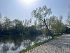 -溱湖国家湿地公园